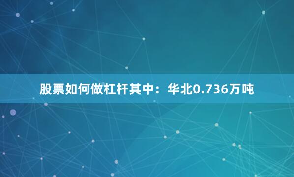 股票如何做杠杆其中：华北0.736万吨