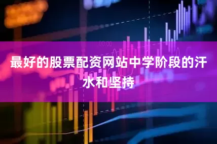 最好的股票配资网站中学阶段的汗水和坚持