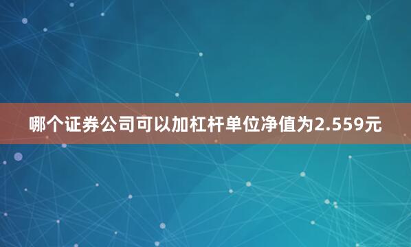 哪个证券公司可以加杠杆单位净值为2.559元