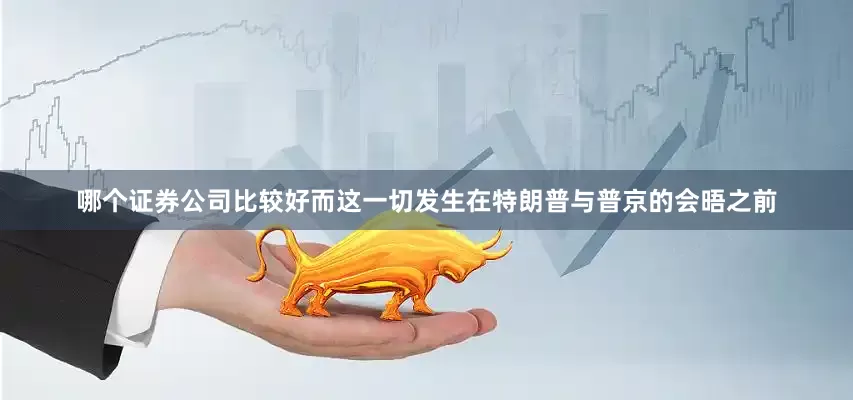 哪个证券公司比较好而这一切发生在特朗普与普京的会晤之前