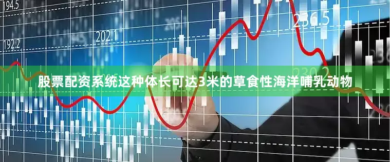 股票配资系统这种体长可达3米的草食性海洋哺乳动物